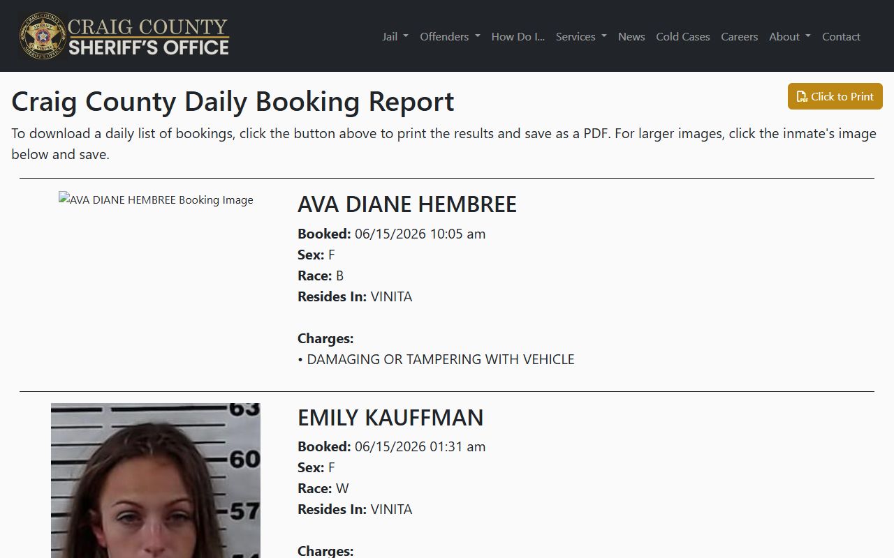 Craig County daily booking report listing recent jail bookings and charges